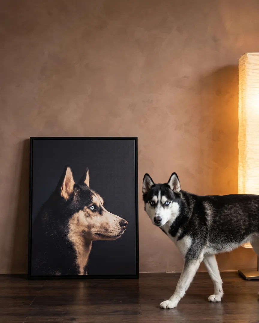 Nova, un husky sibérien, à côté d'une toile encadrée noire de son portrait De profil.