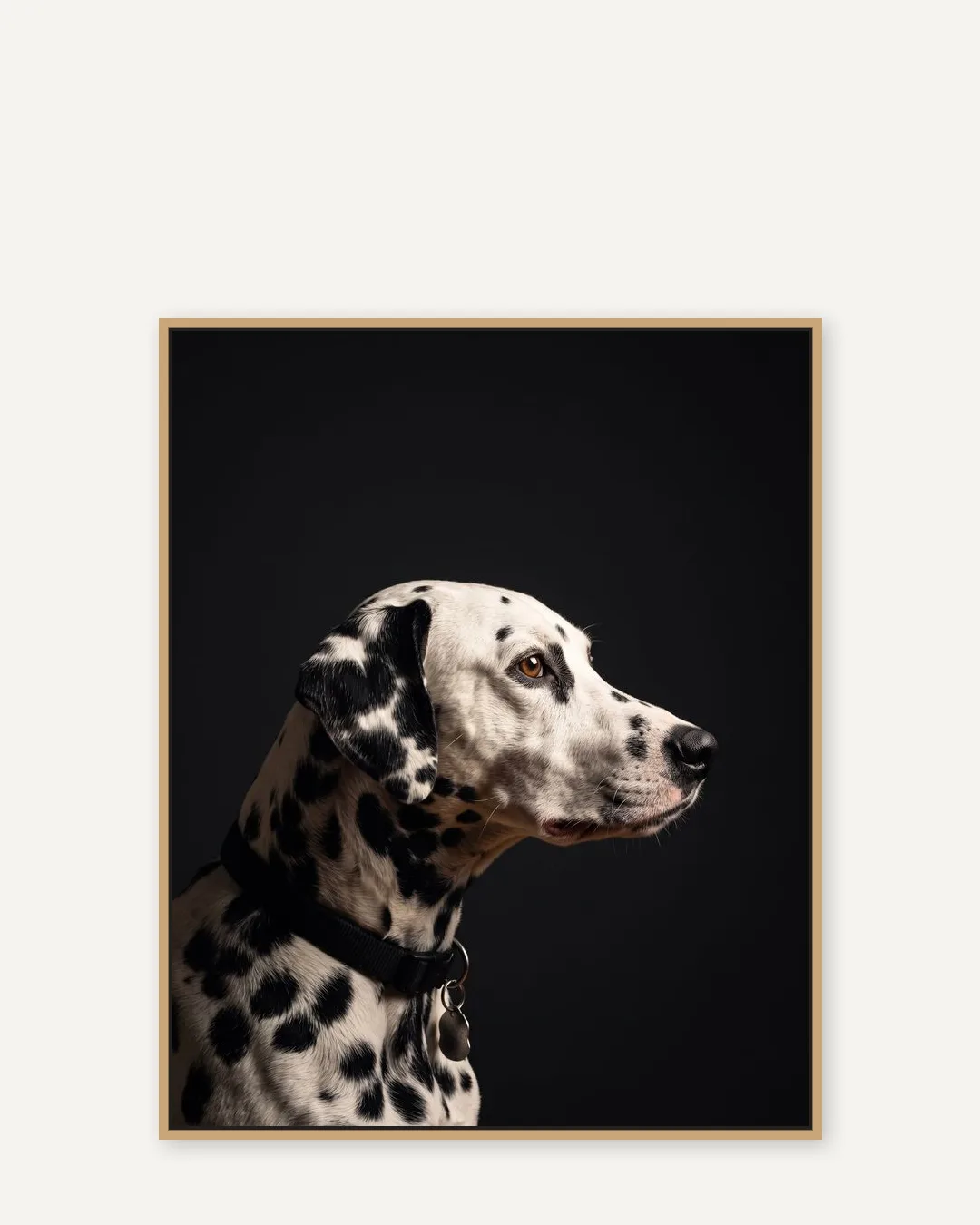 Une toile encadrée en chêne naturel de Ace, un dalmatien, dans le style De profil.
