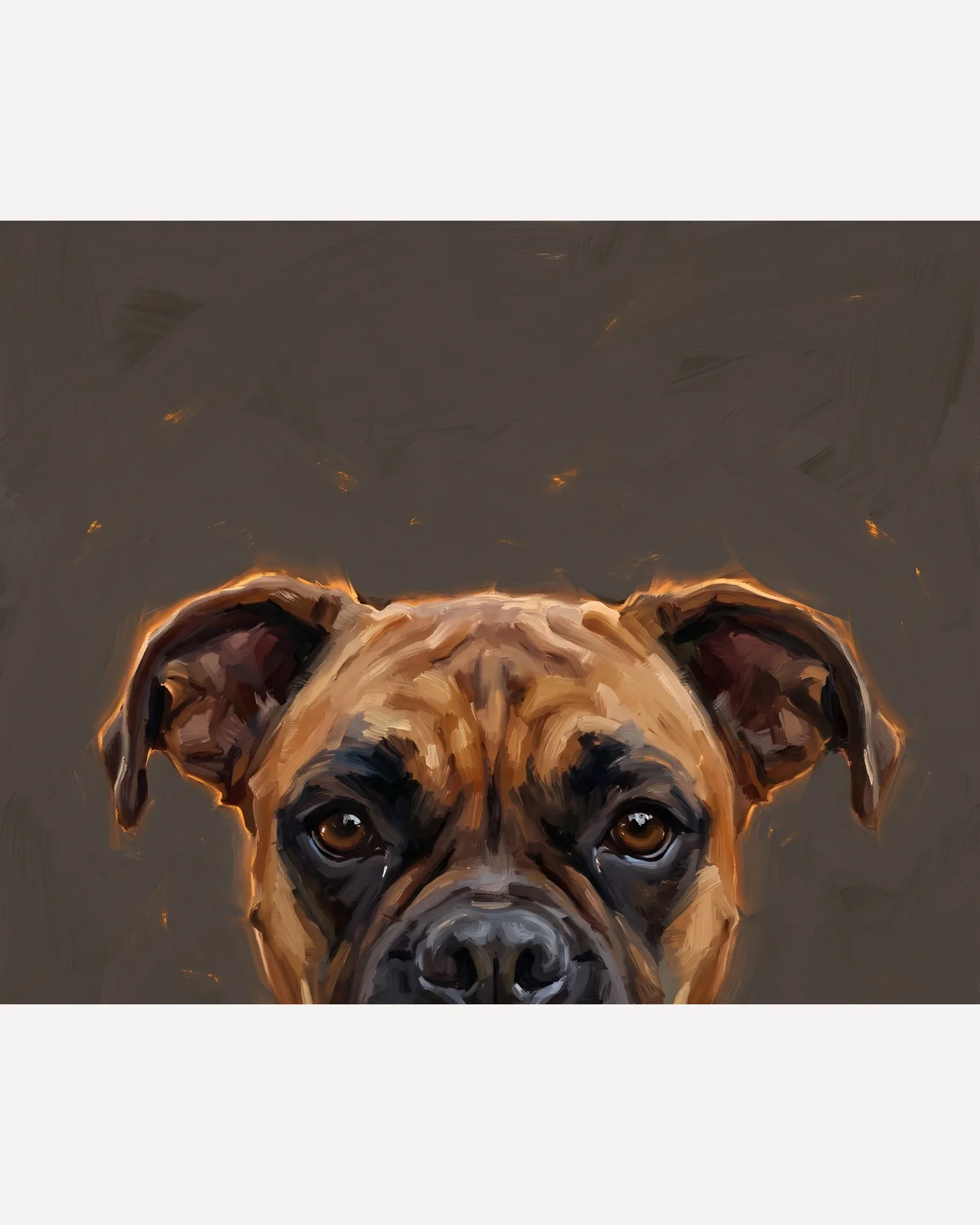 Rocco, a boxer, Painted Peek example.
