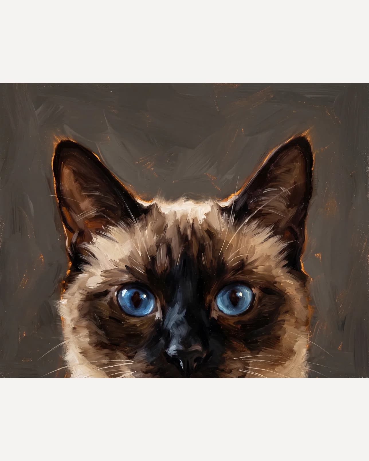 Sable, a Siamese, Painted Peek example.