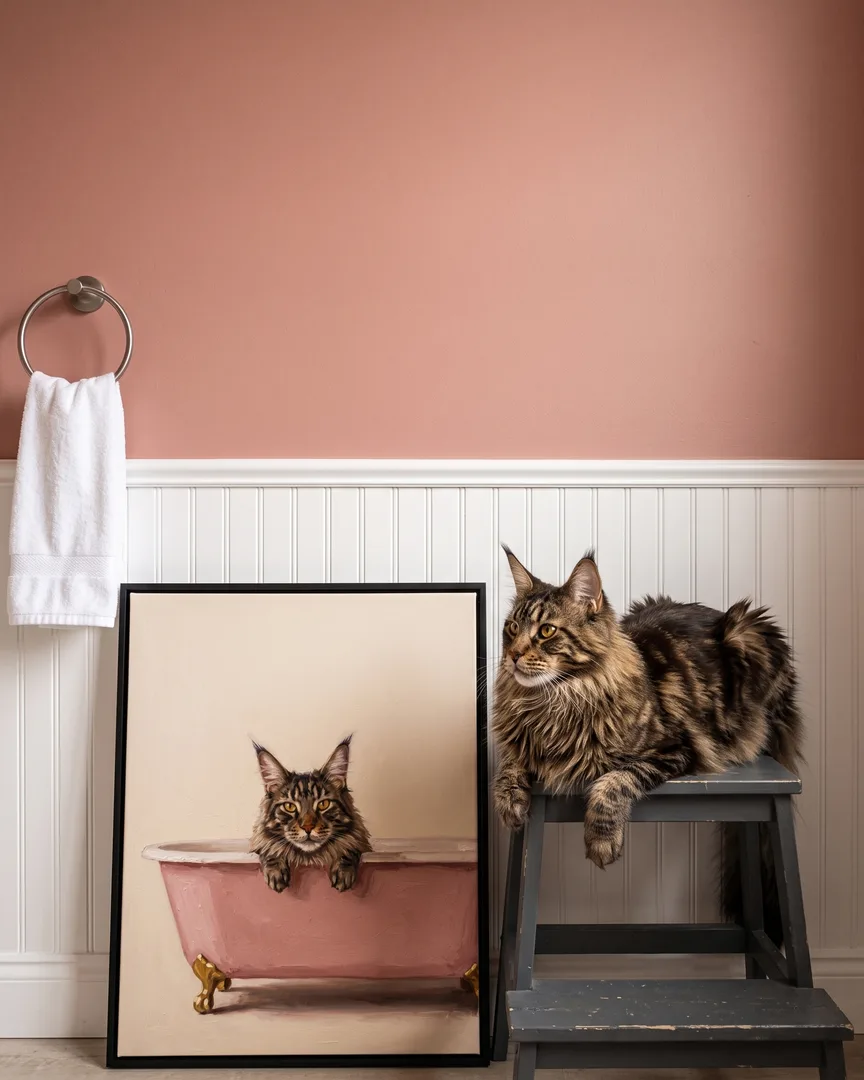 Baron, a Maine coon, beside a black framed canvas of their own Powder Pink Bath portrait.