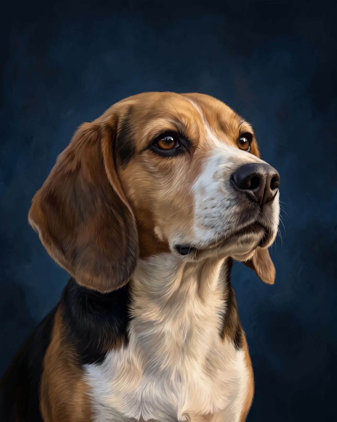 Buddy, un beagle, exemple Étude en saphir.