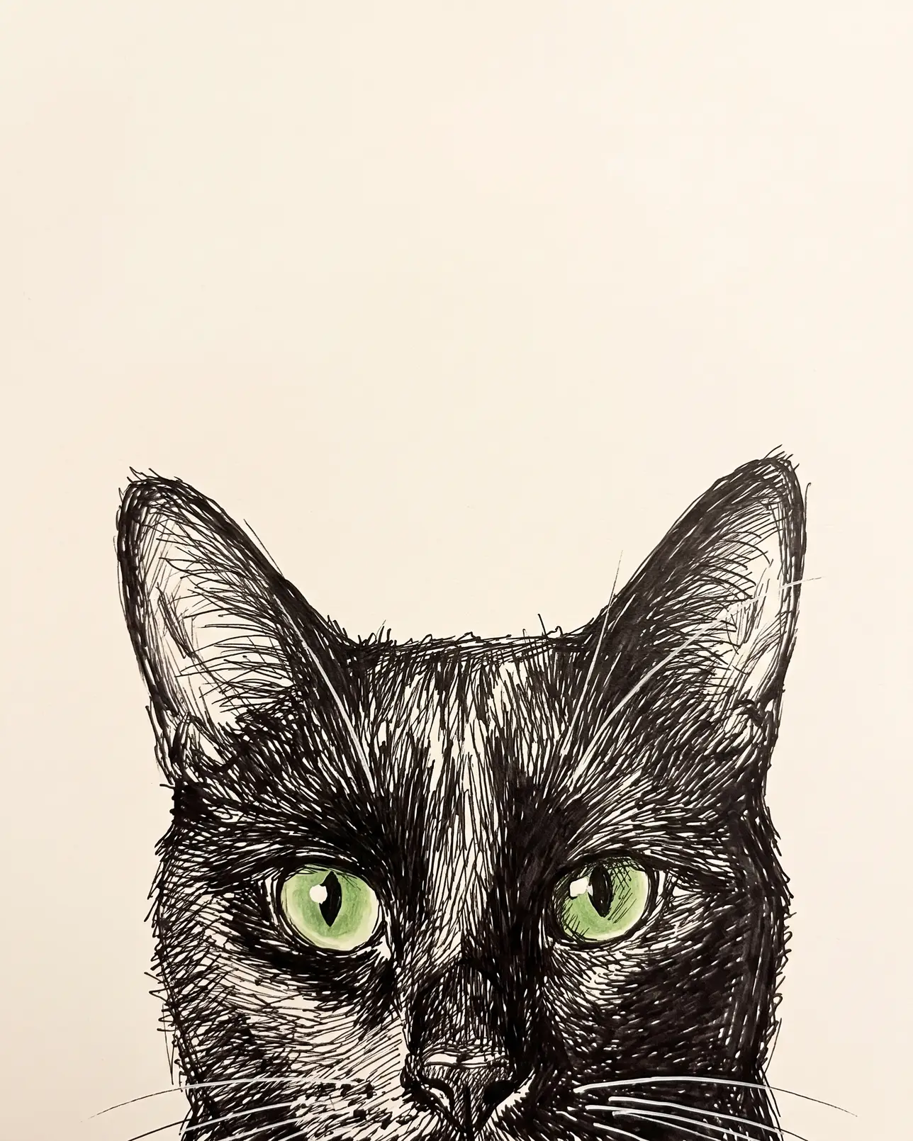 Ombre, un chat noir, exemple Coup d'Œil au Carnet.