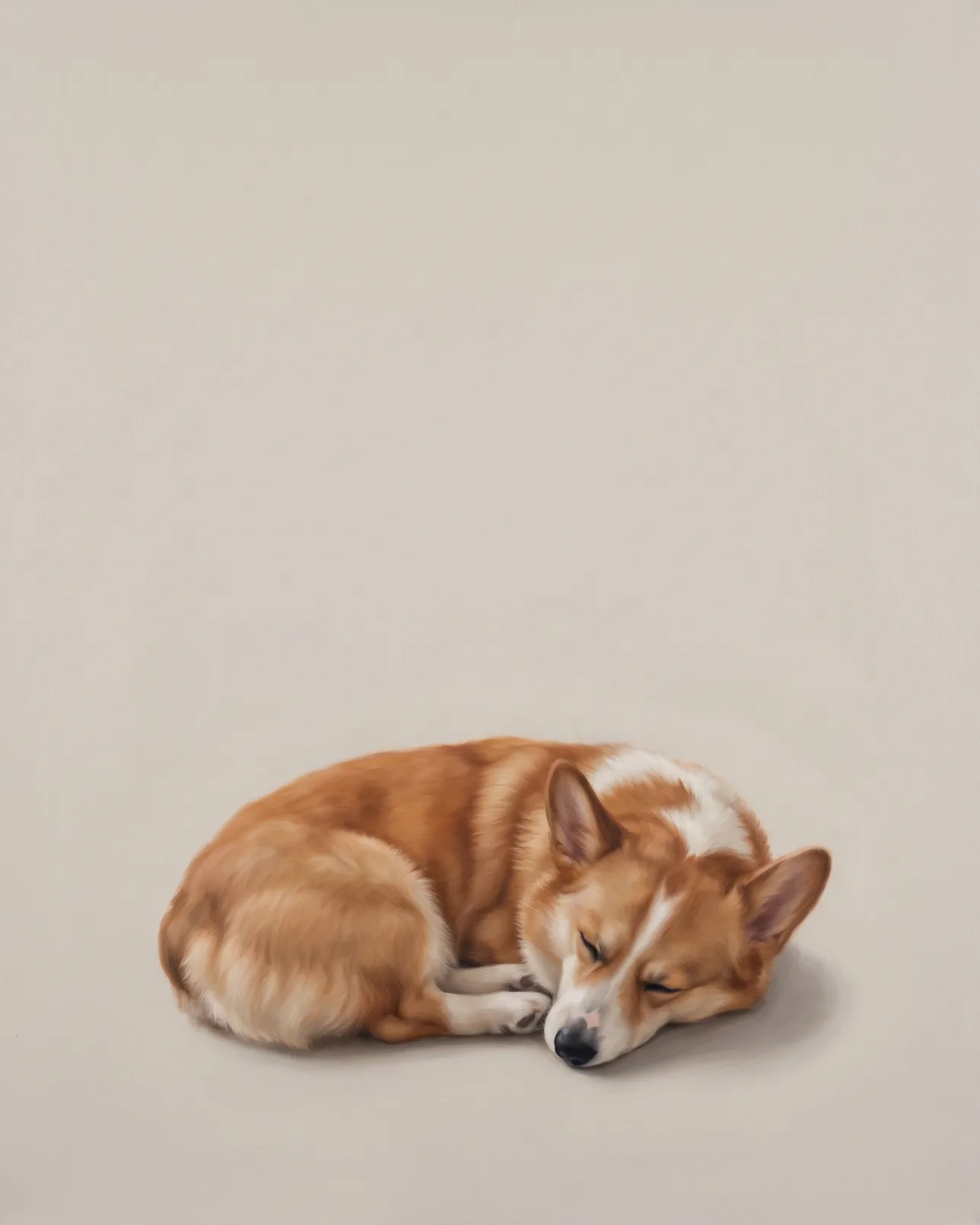 Pixel, a Pembroke Welsh corgi, Soft Hush example.