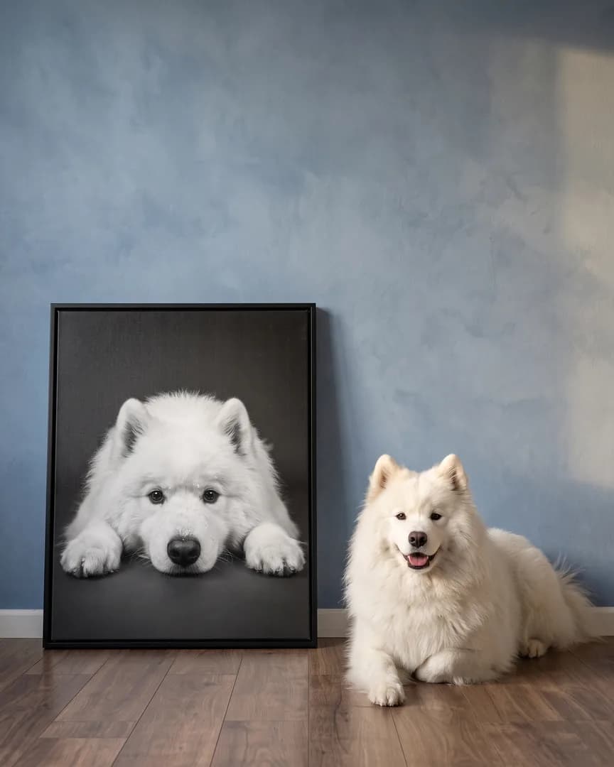 Snowy, a Samoyed, beside a black framed canvas of their own Soulful Eyes portrait.