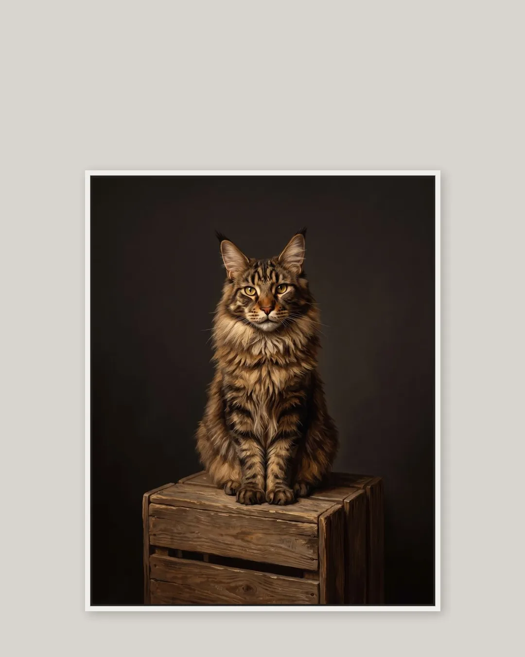A white float-framed canvas of Baron, a Maine coon, in the Pedestal style.