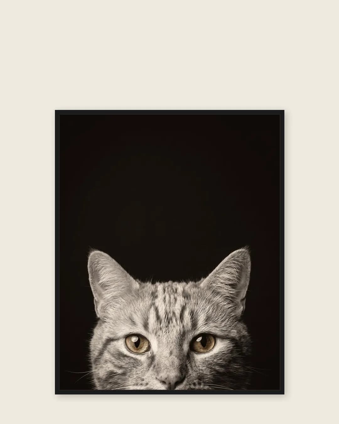 Une toile encadrée noire de Miel, un chat tigré, dans le style Coup d'œil.