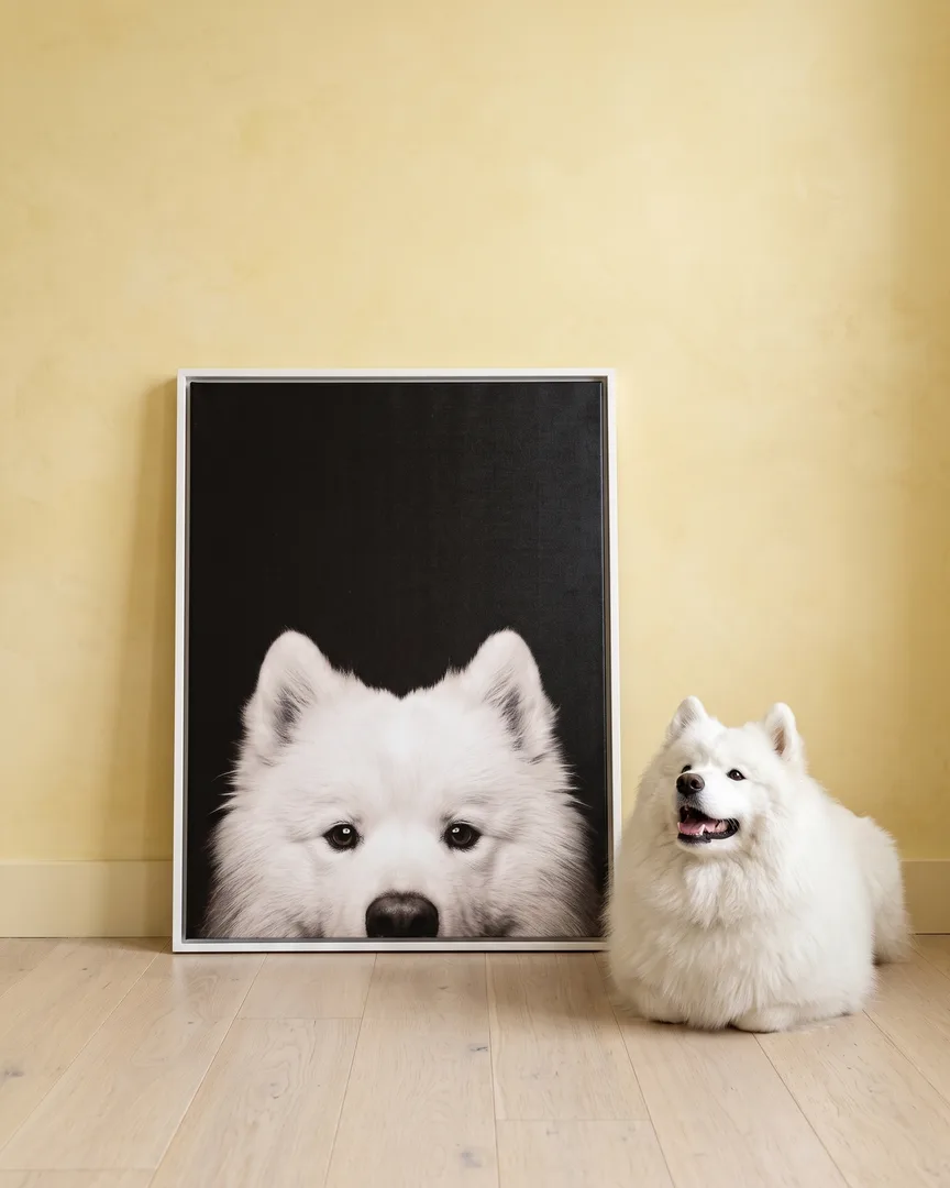 Snowy, un samoyède, à côté d'une toile encadrée blanche de son portrait Coup d'œil.