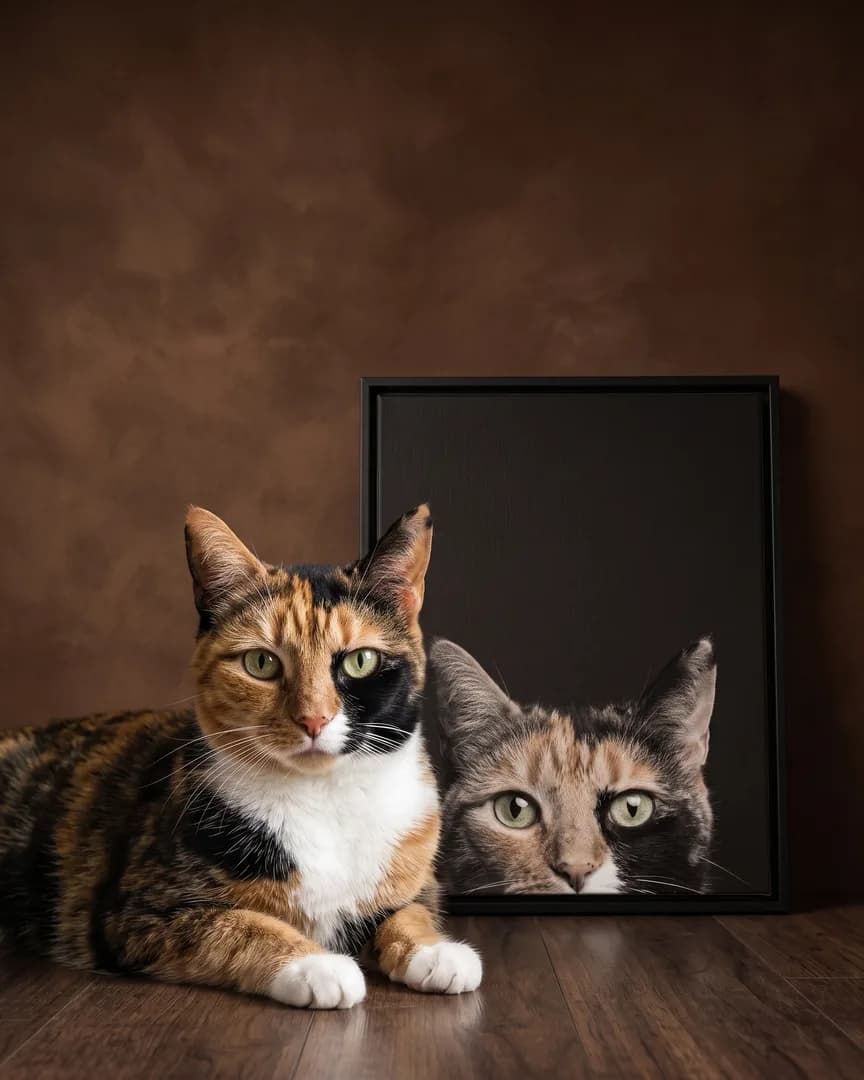 Patch, un chat calico, à côté d'une toile encadrée noire de son portrait Coup d'œil.