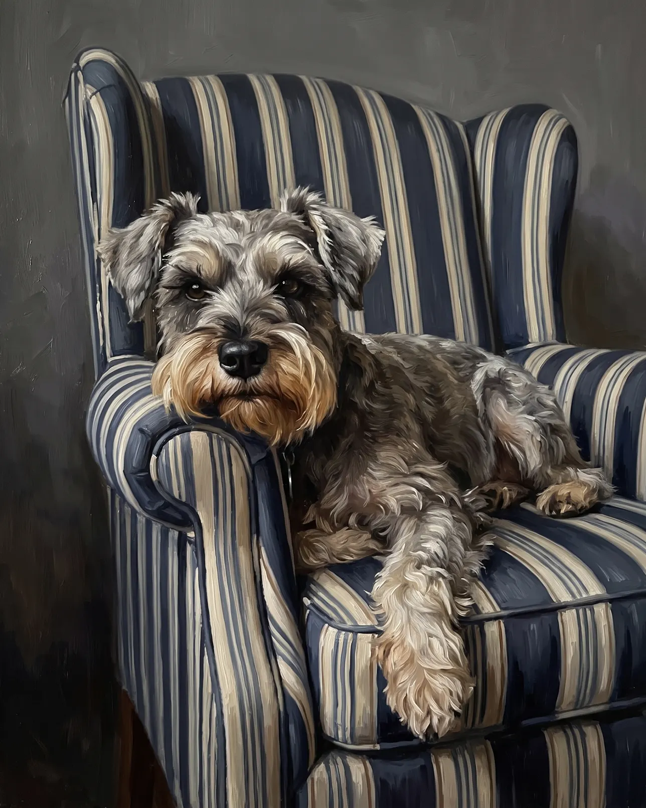 Otis, un schnauzer nain, exemple Le Fauteuil.