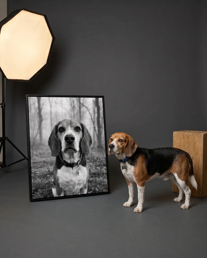 Buddy, a beagle, beside a black framed canvas of their own Through the Mist portrait.