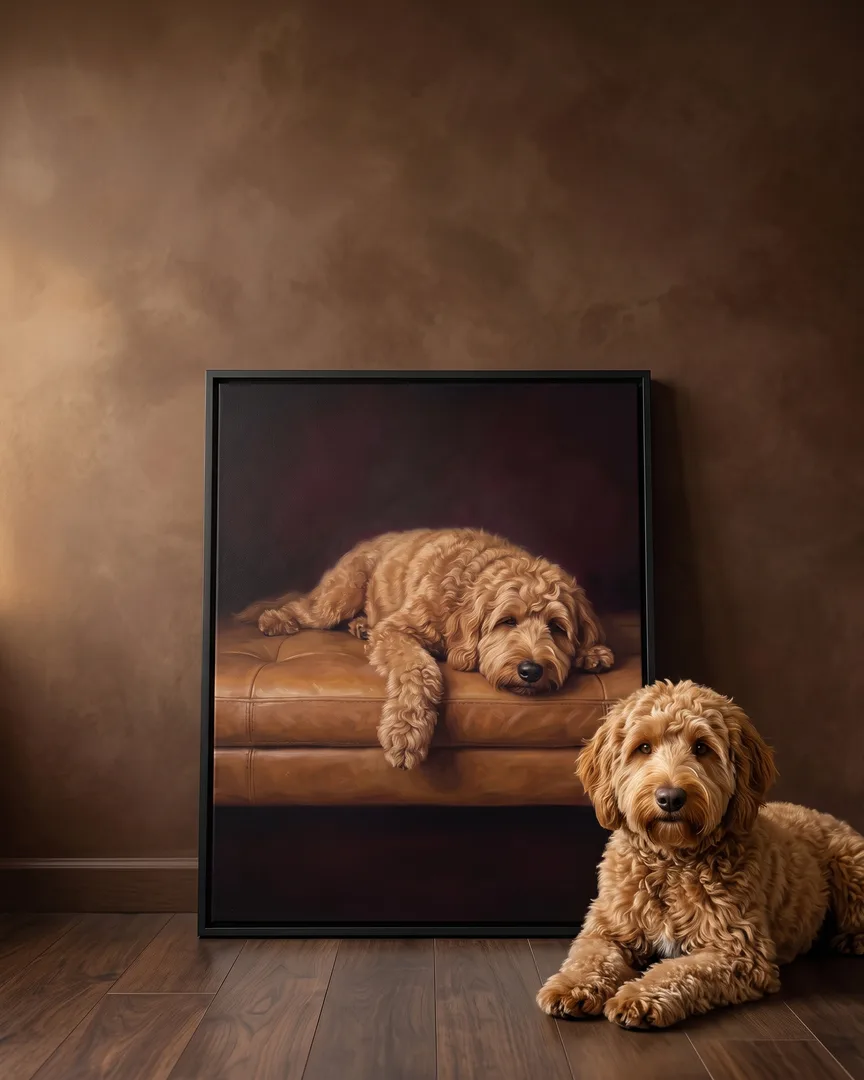 Teddy, un goldendoodle, à côté d'une toile encadrée noire de son portrait Repos de velours.