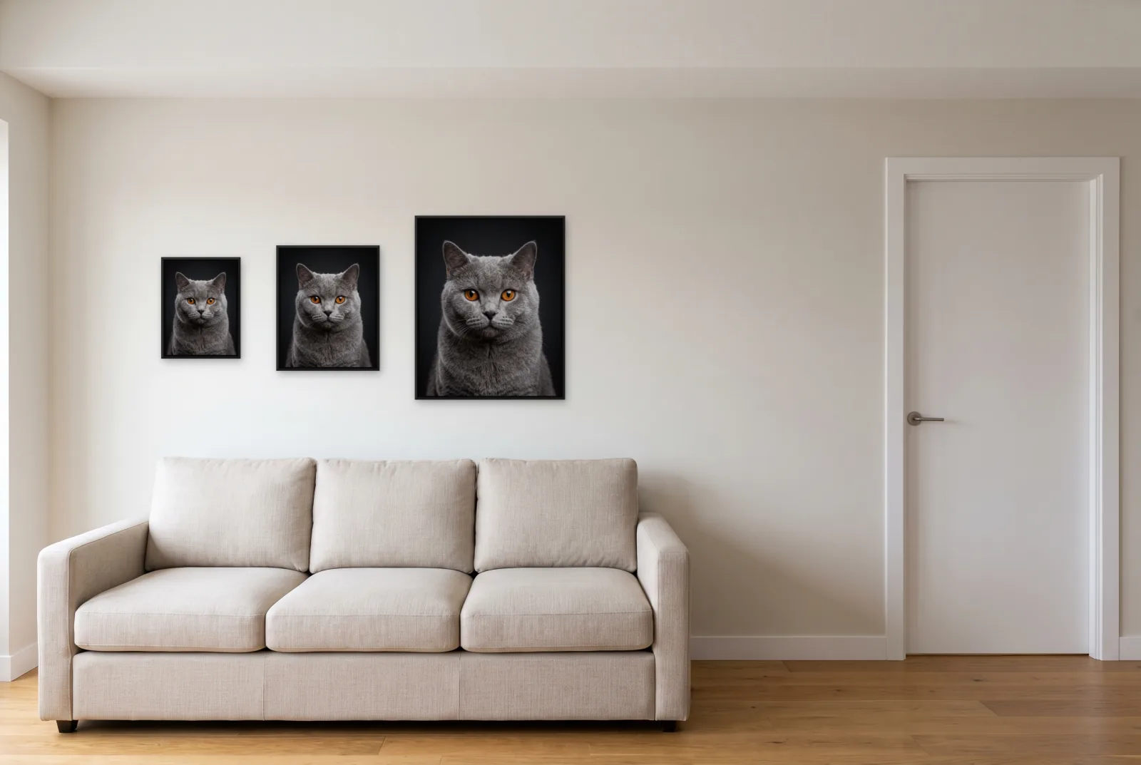A living room wall with a sofa and a door, holding the framed sizes side by side at true scale, from left to right 12 x 16 in, 16 x 20 in and 24 x 30 in, each a grey cat portrait in a thin black frame