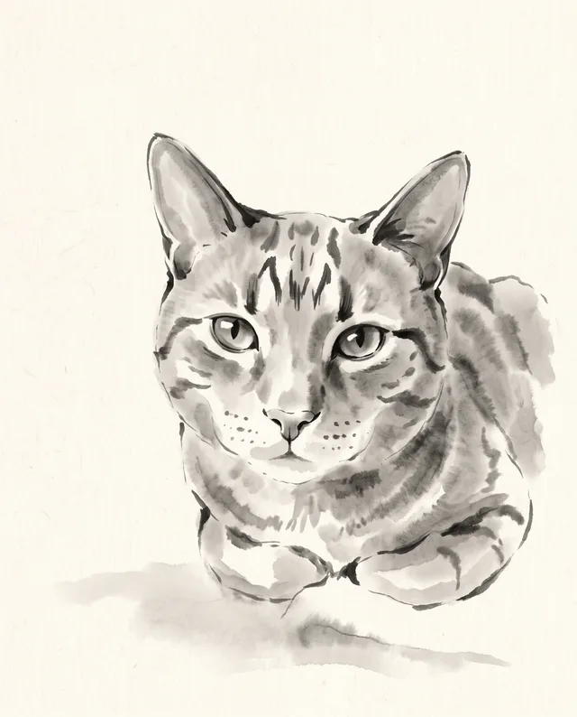Ink Wash: example portrait of a cat
