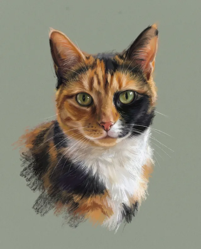 Pastel Portrait: example portrait of a calico cat