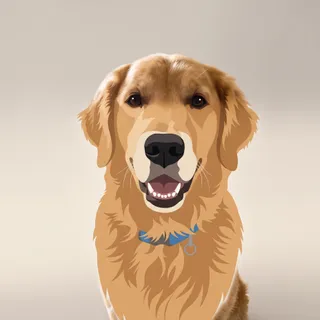 The same test dog in the Modern Minimal style